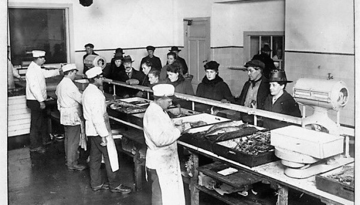 Spanskesyken spredde seg via offentlige møtesteder, som i butikklokaler. Foto fra det kommunale fiskeutsalget på Grønland i 1918. Spanskesyken spredde seg via offentlige møtesteder, som i butikklokaler. Foto fra det kommunale fiskeutsalget på Grønland i 1918.