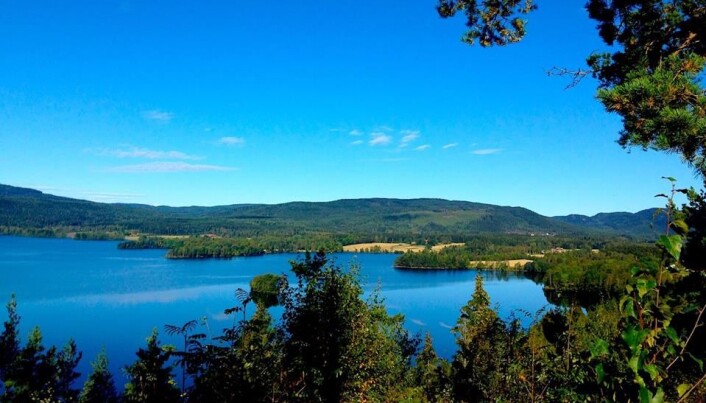 Maridalsvannet Maridalsvannet