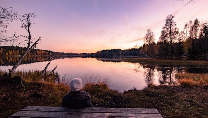 Solnedgang ved Sognsvann Solnedgang ved Sognsvann