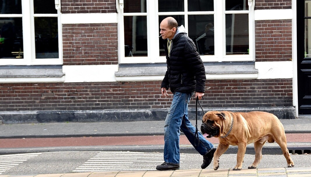 Skal du lufte hunden på Sagene, er det viktig å merke seg at hundeluftegårdene i Iladalen og Torshovparken nå er stengt grunnet koronaviruset. Skal du lufte hunden på Sagene, er det viktig å merke seg at hundeluftegårdene i Iladalen og Torshovparken nå er stengt grunnet koronaviruset.