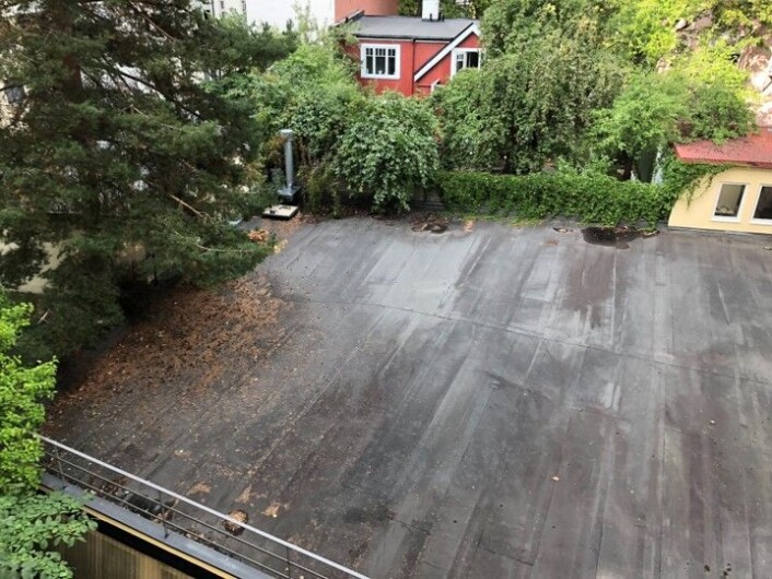 Deler av det 406 kvadratmeter store taket på lagerromet i bakgården til Oscars gate 8. Foto: Marianne Ween Deler av det 406 kvadratmeter store taket på lagerromet i bakgården til Oscars gate 8. Foto: Marianne Ween