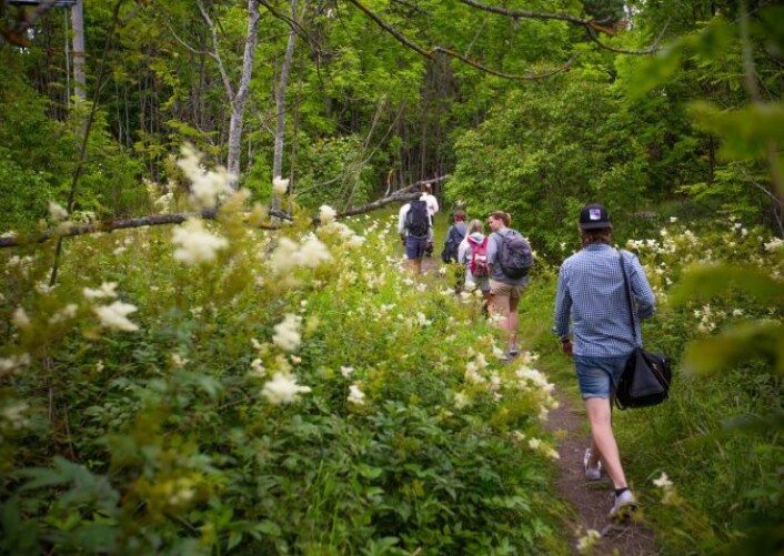 Oppdag en av Oslos øyer sammen med erfarne fugletittere. En av aktivitetene på Biomangfoldsuka er en guidet tur med fugletittere på Gressholmen (bildet), en av de lokale øyene i indre Oslofjord. Sommerstid i Oslofjorden er vi midt i hekketiden, men øyene er likevel svært tiltrekkende for trekkfugler, samt ender, lommer, vadere og småfugler. Oppdag en av Oslos øyer sammen med erfarne fugletittere. En av aktivitetene på Biomangfoldsuka er en guidet tur med fugletittere på Gressholmen (bildet), en av de lokale øyene i indre Oslofjord. Sommerstid i Oslofjorden er vi midt i hekketiden, men øyene er likevel svært tiltrekkende for trekkfugler, samt ender, lommer, vadere og småfugler.