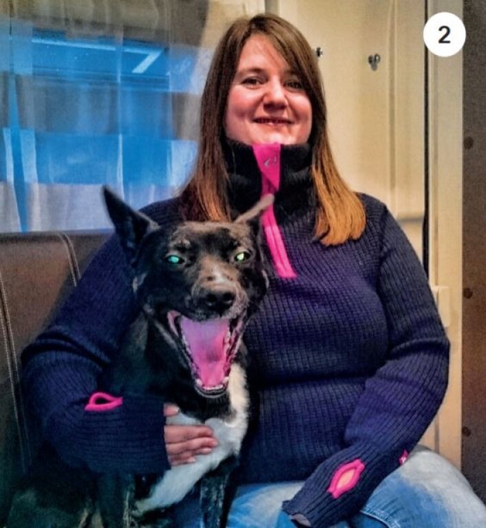 Cecilie Strøm og Frøya sjekker ut en bobil for utleie, hvor man også kam ha med hund og mindre kjæledyr. Foto: Lene Sedolfsen Cecilie Strøm og Frøya sjekker ut en bobil for utleie, hvor man også kam ha med hund og mindre kjæledyr. Foto: Lene Sedolfsen