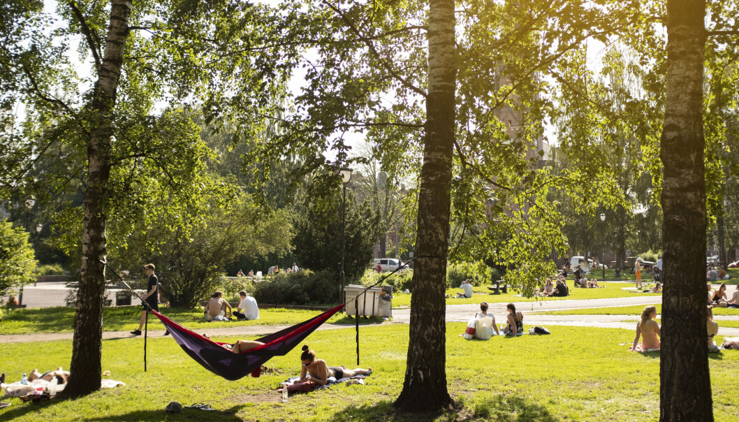 Sommer i Birkelunden. Sommer i Birkelunden.