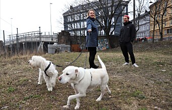 Flertallet av lokalpolitikerne i Gamle Oslo støtter forslaget om hundepark i Schweigaards gate