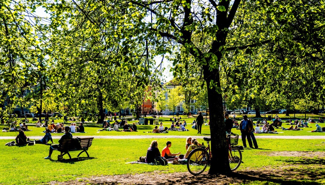 VårtOslo har siden oppstarten i 2017 produsert flere tusen saker. Redaktør Vegard Velle ønsker mediekonsernet Amedia velkommen som konkurrent i deres nye satsning på en egen lokalavis. VårtOslo har siden oppstarten i 2017 produsert flere tusen saker. Redaktør Vegard Velle ønsker mediekonsernet Amedia velkommen som konkurrent i deres nye satsning på en egen lokalavis.