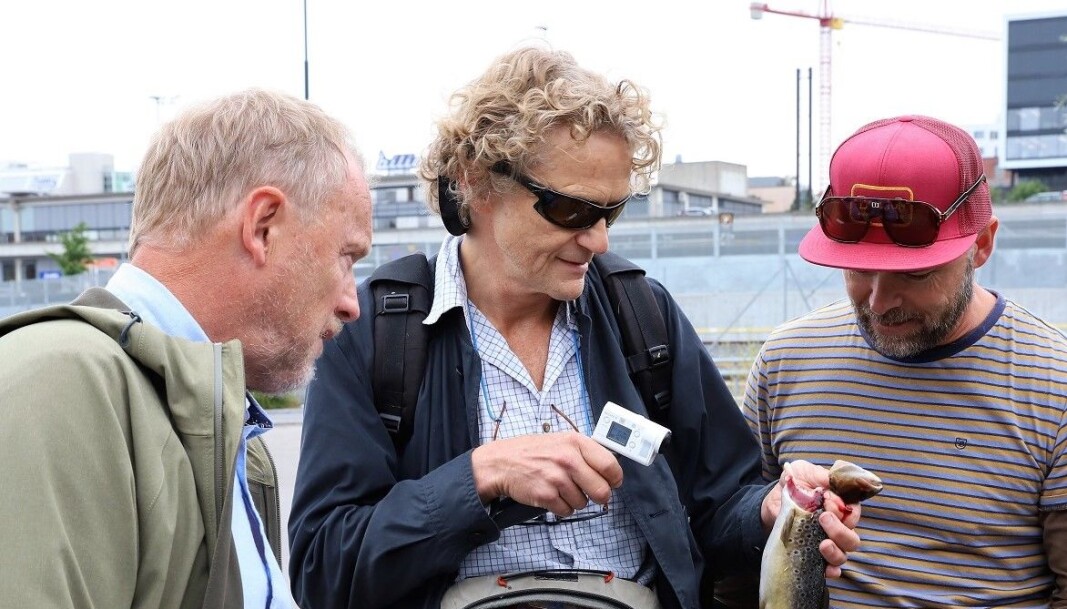 Lars Nilssen, i midten, er en av de store autoritetene på fluefiske i Oslomarka. Her er han sammen med byrådsleder Raymond Johansen og fiskekompis Lars Lenth på en urban fisketur 2019. Lars Nilssen, i midten, er en av de store autoritetene på fluefiske i Oslomarka. Her er han sammen med byrådsleder Raymond Johansen og fiskekompis Lars Lenth på en urban fisketur 2019.