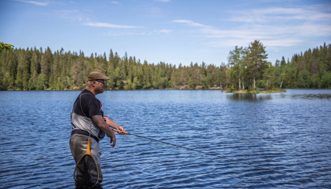 Sol og vind er en fordel for insektene. Stille vær og fuktig luft er en fordel for fisken og fiskeren Sol og vind er en fordel for insektene. Stille vær og fuktig luft er en fordel for fisken og fiskeren