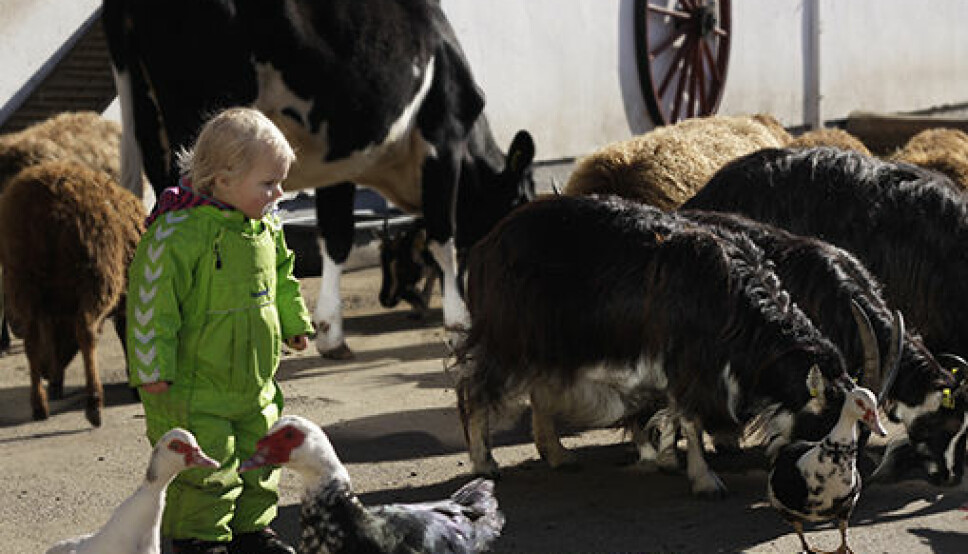 I over 60 år har byunger fått oppleve norske husdyr på nært hold ved besøksgården på Ekeberg.