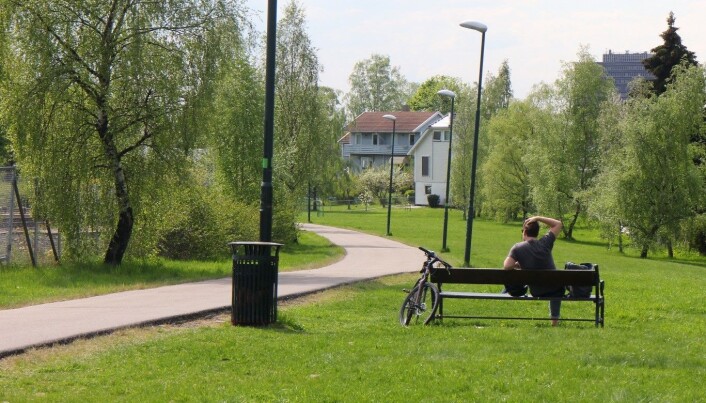 Mesteparten av ruta går helt utenom bilveier. Mesteparten av ruta går helt utenom bilveier.