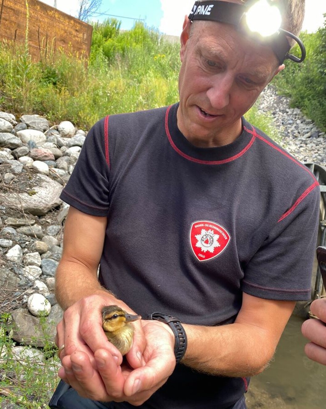 Heldigvis ble alle de 10 små reddet. Takket være snarrådig innringer og handlekraftige brannfolk. Heldigvis ble alle de 10 små reddet. Takket være snarrådig innringer og handlekraftige brannfolk.