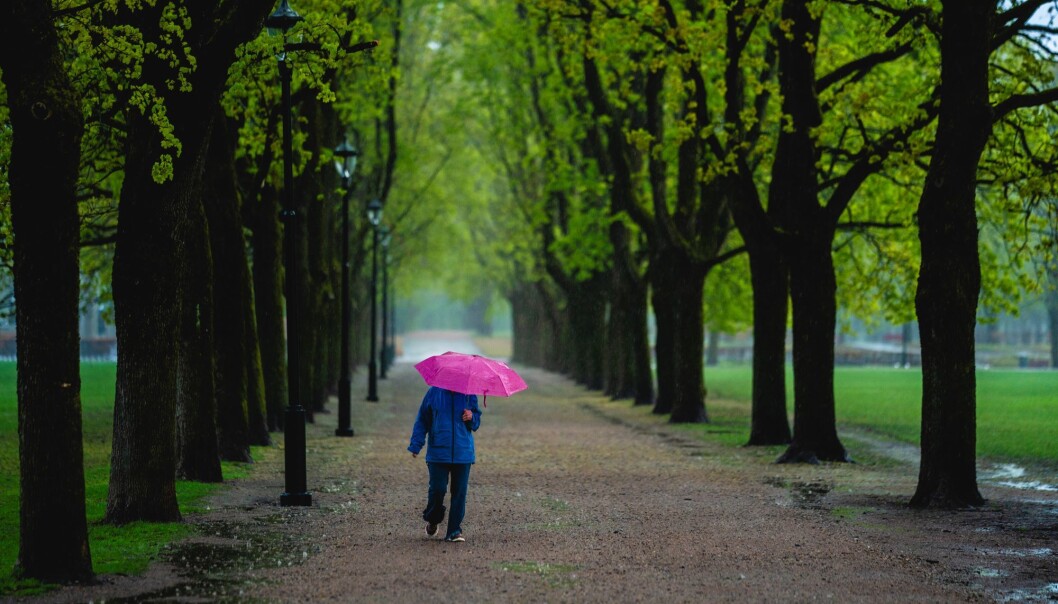 Frognerparken er fin selv i regnvær. Det blir fortsatt omskiftelig vær i Oslo de kommende dagene. Frognerparken er fin selv i regnvær. Det blir fortsatt omskiftelig vær i Oslo de kommende dagene.