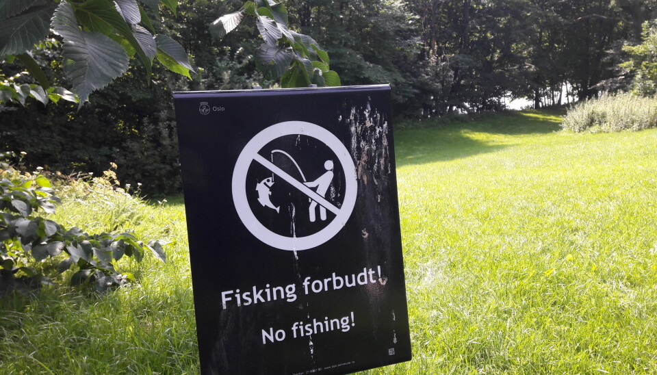 Her står det hvitt på svart. Fisking forbudt. Det gjelder Frognerparken.