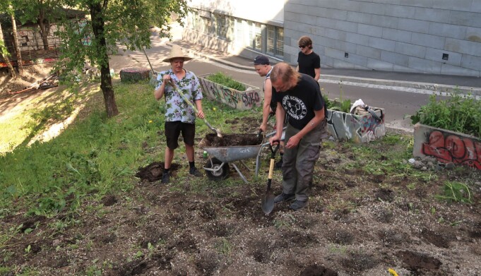 Plantene ble satt i økologisk jord. Plantene ble satt i økologisk jord.