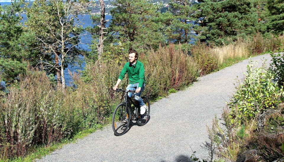 På utsiden av Ljanskollen er det fin utsikt over Oslofjorden.