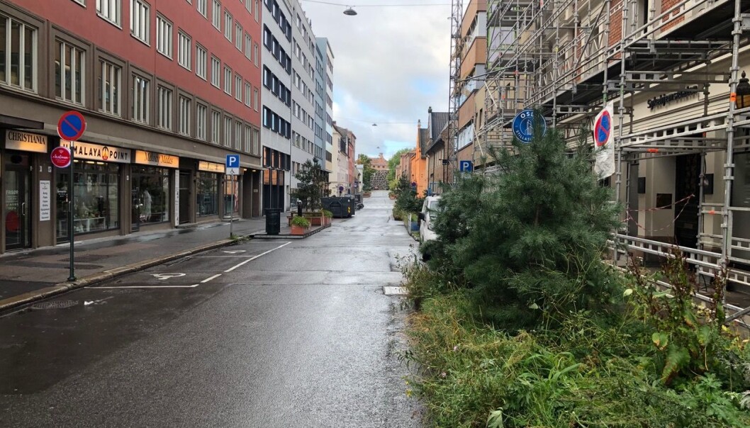 Nedre Slottsgate er ikke noe hyggelig lenger, mener Cecilie Lyngby. Nedre Slottsgate er ikke noe hyggelig lenger, mener Cecilie Lyngby.
