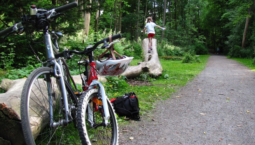For barna er det flere ting å utforske i Frognerdalen. For barna er det flere ting å utforske i Frognerdalen.