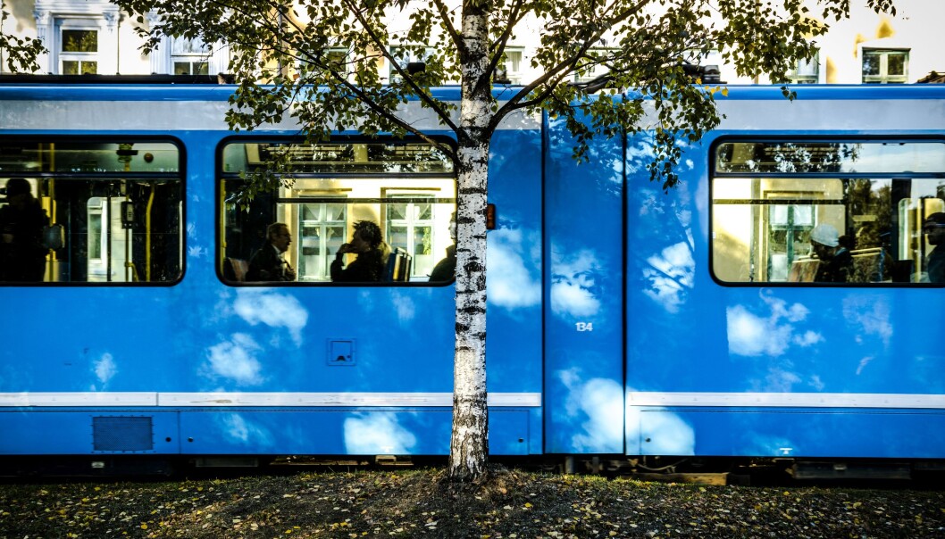 Fire måneder med buss for trikk er over for passasjerer med linjene 11, 12 og 13. Fire måneder med buss for trikk er over for passasjerer med linjene 11, 12 og 13.