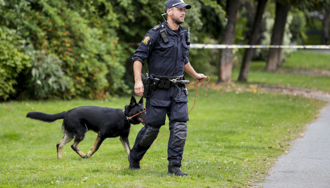 Politiets hundepatrulje i søk etter den antatte gjerningsmannen. Politiets hundepatrulje i søk etter den antatte gjerningsmannen.
