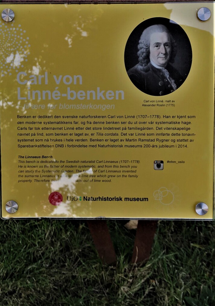 Carl Von Linné laget systemet som klassifiserte planter og dyr. Mindre kjent er det at han også klassifiserte mennesker etter hudfarge. Carl Von Linné laget systemet som klassifiserte planter og dyr. Mindre kjent er det at han også klassifiserte mennesker etter hudfarge.