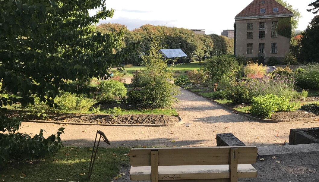 Benken i Botanisk hage på Tøyen er dedikert til den svenske naturforskeren Carl von Linné. Benken i Botanisk hage på Tøyen er dedikert til den svenske naturforskeren Carl von Linné.