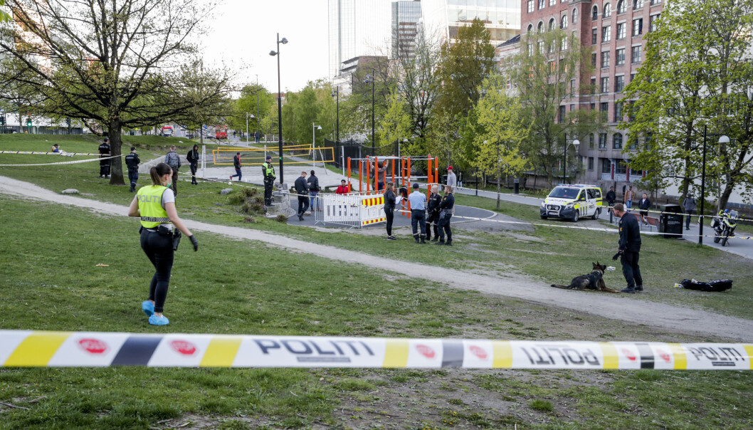Politiet på Elgsletta etter en knivstikking i mai i år. Parken er et kjent tilholdssted for mange rusavhengige i Oslo. Politiet på Elgsletta etter en knivstikking i mai i år. Parken er et kjent tilholdssted for mange rusavhengige i Oslo.