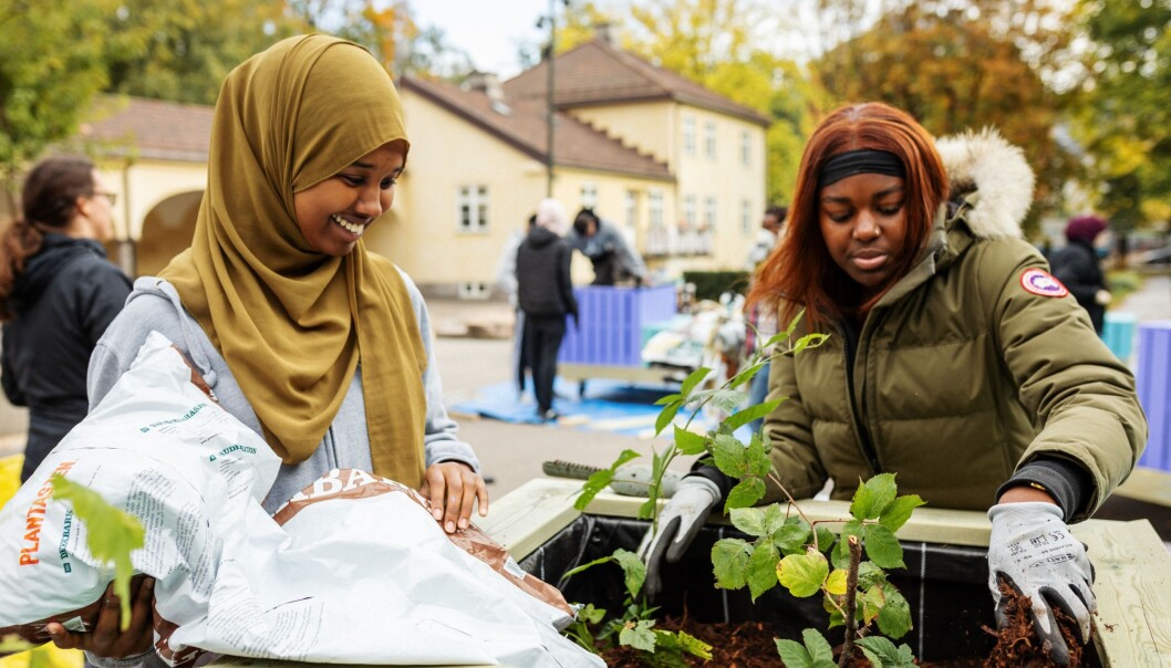 Sumaya Ali Isse og Sadia Mubiru planter friske grønne planter i nye plantekasser til sin egen skolegård. Sumaya Ali Isse og Sadia Mubiru planter friske grønne planter i nye plantekasser til sin egen skolegård.
