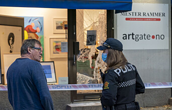 Tyver brøt seg inn i galleri i Oslo med øks og slegge