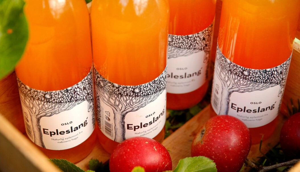 Det blir mange liter eplemost av 25 tonn epler. Det blir mange liter eplemost av 25 tonn epler.
