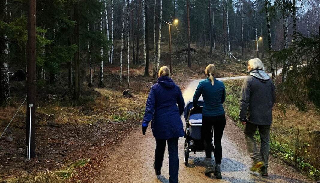 En flunkende ny lysløype står nå ferdig i Nordmarka. Lysløypa er ca. 3 km lang og går fra Sognsvann til Korsvoll. En flunkende ny lysløype står nå ferdig i Nordmarka. Lysløypa er ca. 3 km lang og går fra Sognsvann til Korsvoll.