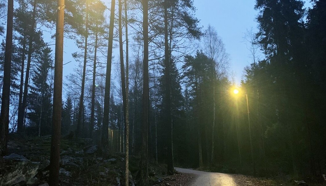 Den nye lysløypen knytter seg til eksisterende lysløyper i Nordmarka og vil lyse hele året. Den nye lysløypen knytter seg til eksisterende lysløyper i Nordmarka og vil lyse hele året.