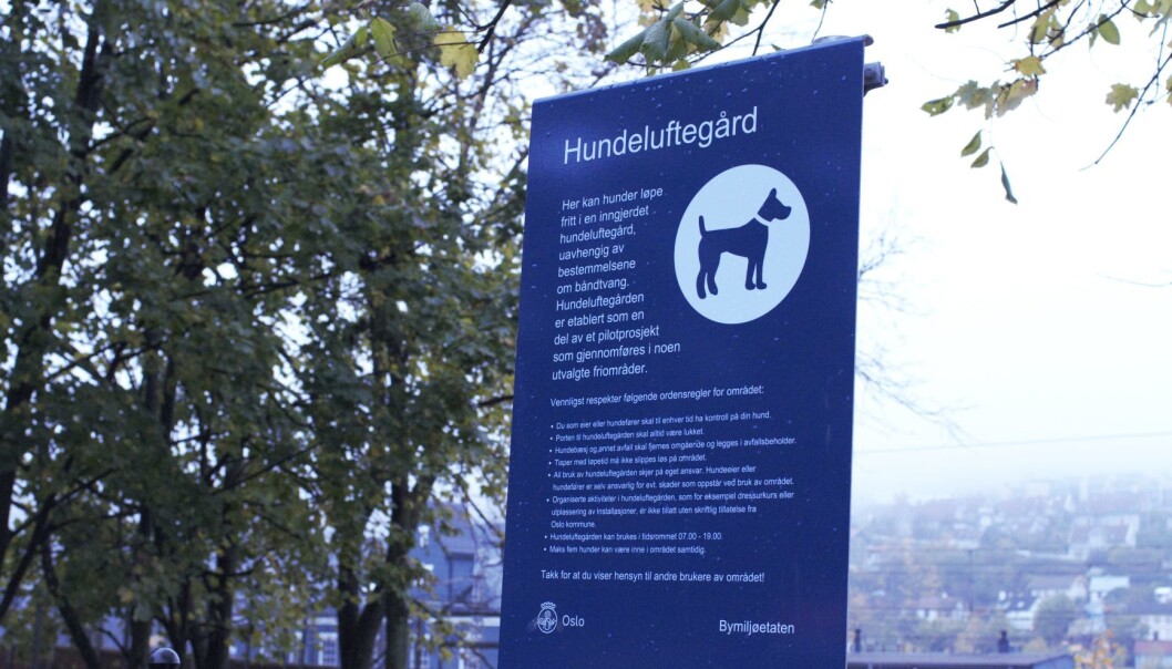 Det har vært mye strid rundt byggingen av hundeluftegården. Naboene fryktet enda mer støy enn det allerede er i området. Det har vært mye strid rundt byggingen av hundeluftegården. Naboene fryktet enda mer støy enn det allerede er i området.