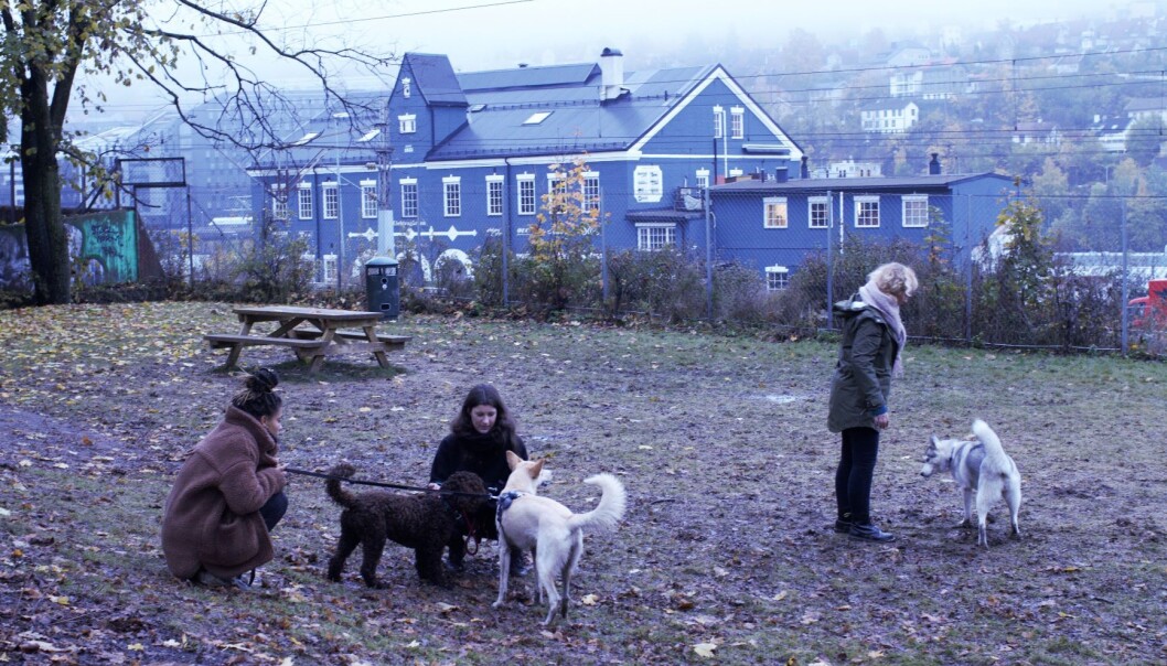 Hanne Hovda (til venstre) og Mina Wilson (til høyre) er naboer til hundeparken på Galgeberg. Hanne Hovda (til venstre) og Mina Wilson (til høyre) er naboer til hundeparken på Galgeberg.