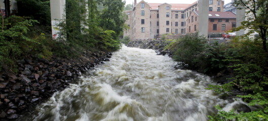 Flomvarsel langs Akerselva: Det ventes over 80 millimeter nedbør i Oslo