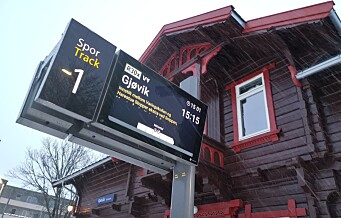 Tre over linja førte til stans for Gjøvikbanen til og fra Oslo. Også på veiene skaper trær problemer