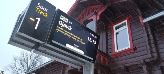 Tre over linja førte til stans for Gjøvikbanen til og fra Oslo. Også på veiene skaper trær problemer Tre over linja førte til stans for Gjøvikbanen til og fra Oslo. Også på veiene skaper trær problemer