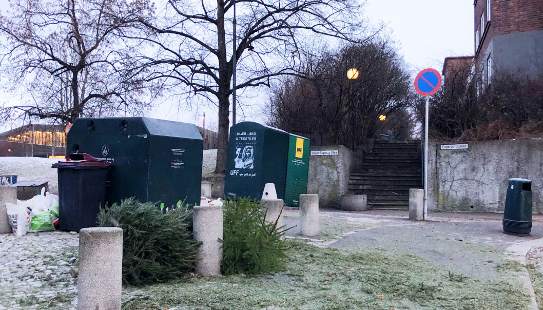 Glasscontaineren bak de uavhentete juletrærne i krysset Fagerborggata og Gørbitzgate bar preg av nyttårshelgen. Glasscontaineren bak de uavhentete juletrærne i krysset Fagerborggata og Gørbitzgate bar preg av nyttårshelgen.