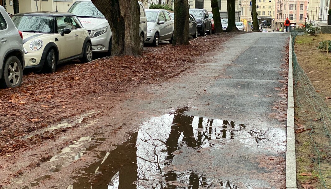 Løvet fra i høst ender opp som gjørme i veikanten. Løvet fra i høst ender opp som gjørme i veikanten.