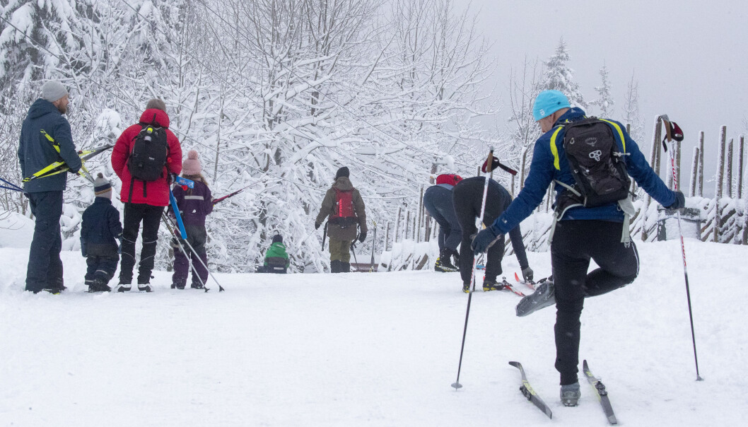 Flere har tatt turen ut på ski i marka. Her fra Frognerseteren i Oslo. Flere har tatt turen ut på ski i marka. Her fra Frognerseteren i Oslo.