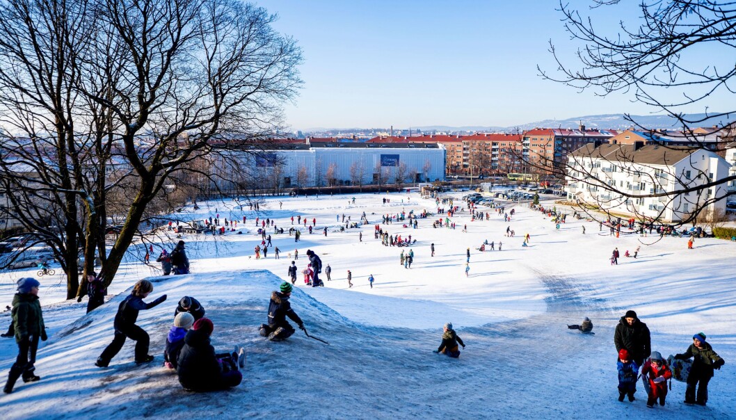 Ikke masse snø, men mer enn nok til at det kunne akes i full fart på Ola Narr. Til uke blir det kjørt snø til Frognerparken og Voldsløkka. Ikke masse snø, men mer enn nok til at det kunne akes i full fart på Ola Narr. Til uke blir det kjørt snø til Frognerparken og Voldsløkka.