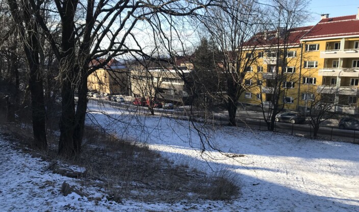 Utsikt mot Vossegata fra gravhaugene, som er tidfestet til jernalder og vikingtid. Haugene er opphav til Torshaug, og gravminnene er vernet. Bastia Eiendom planlegger boligblokker langs gata. Utsikt mot Vossegata fra gravhaugene, som er tidfestet til jernalder og vikingtid. Haugene er opphav til Torshaug, og gravminnene er vernet. Bastia Eiendom planlegger boligblokker langs gata.
