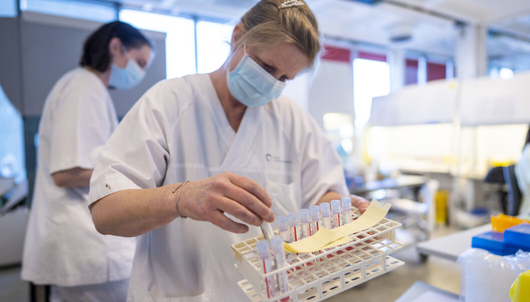 Bioingeniøren Lise Andresen tar med seg positive koronaprøver til sekvenseringsavdelingen på Ullevål Sykehus, for å lete etter muterte koronavirus. Bioingeniøren Lise Andresen tar med seg positive koronaprøver til sekvenseringsavdelingen på Ullevål Sykehus, for å lete etter muterte koronavirus.
