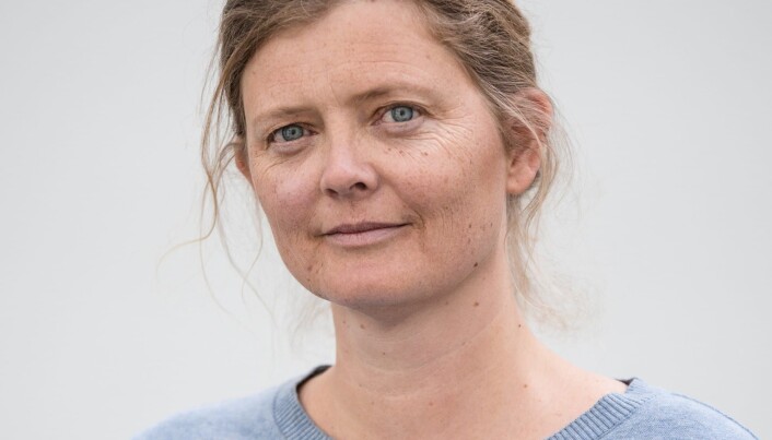 — Det har vært en altfor svak medvirkningsprosess. Det har samtlige velforeninger og et samlet bydelsutvalg påpekt gang etter gang, sier Hege Stensrud Høsøien i den lokale aksjonsgruppa. — Det har vært en altfor svak medvirkningsprosess. Det har samtlige velforeninger og et samlet bydelsutvalg påpekt gang etter gang, sier Hege Stensrud Høsøien i den lokale aksjonsgruppa.