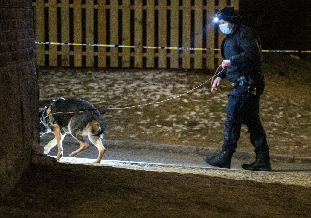 Skuddofferet ble funnet inne i en leilighet i Ålesundgata. Men store politistyrker, blant annet med hunder, gjør søke etter spor og mistenkte i nærområdet på Bjølsen. Skuddofferet ble funnet inne i en leilighet i Ålesundgata. Men store politistyrker, blant annet med hunder, gjør søke etter spor og mistenkte i nærområdet på Bjølsen.