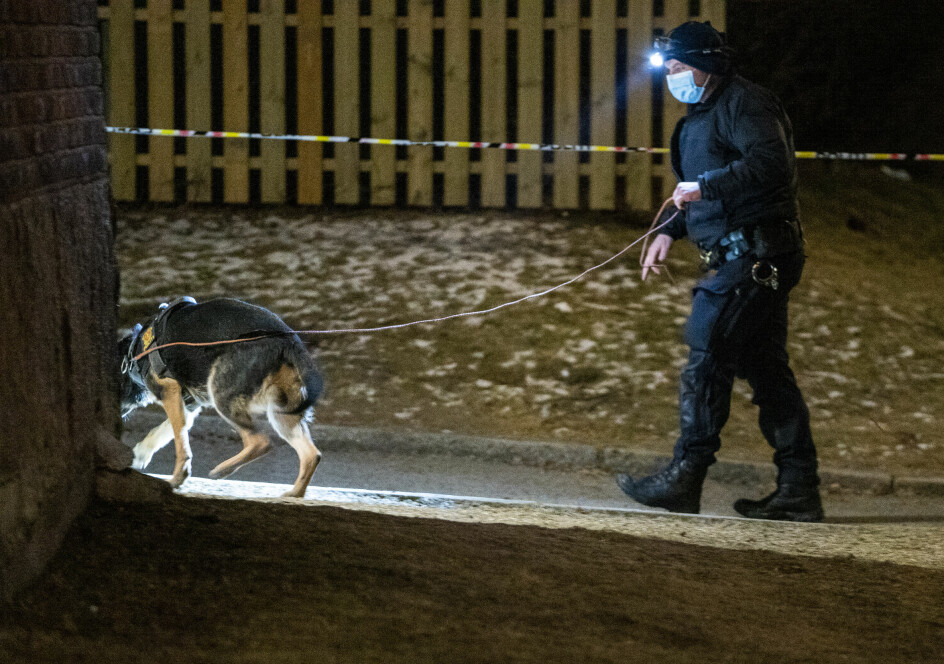 Skuddofferet ble funnet inne i en leilighet i Ålesundgata. Men store politistyrker, blant annet med hunder, gjør søke etter spor og mistenkte i nærområdet på Bjølsen.