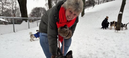 To- og firbente i Stensparken fortviler. Får ikke noe alternativ til hundeparken de kastes ut fra To- og firbente i Stensparken fortviler. Får ikke noe alternativ til hundeparken de kastes ut fra