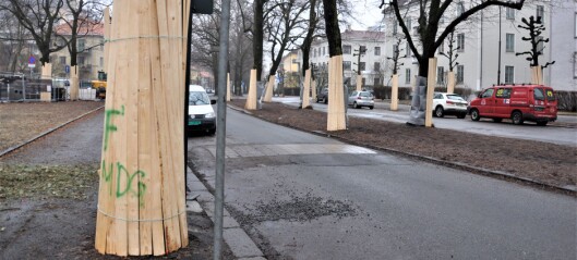 Alt klart for anleggsmaskiner i Gyldenløves gate: - Vær forberedt på støy, advarer bymiljøetaten Alt klart for anleggsmaskiner i Gyldenløves gate: - Vær forberedt på støy, advarer bymiljøetaten
