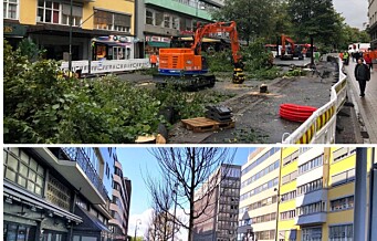 De gamle trærne i Olav Vs gate ble felt og erstattet. Prisen for 12 nye trær havner på over 3,8 millioner