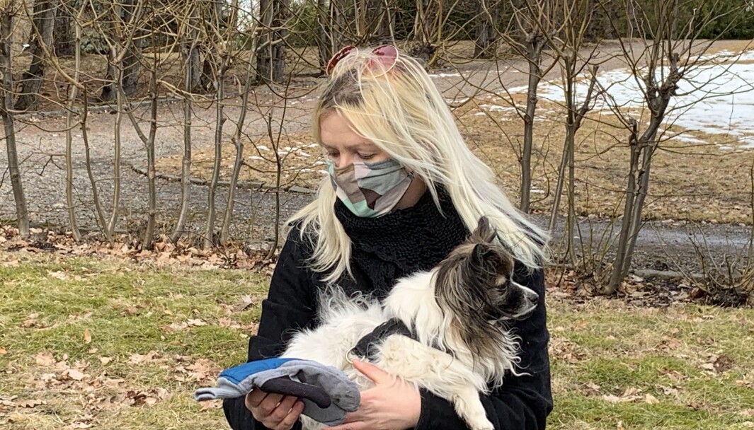 Det blir mange turer med hanskeplukking sammen med hunden Ailo rundt omkring Gamle Oslo. Det blir mange turer med hanskeplukking sammen med hunden Ailo rundt omkring Gamle Oslo.