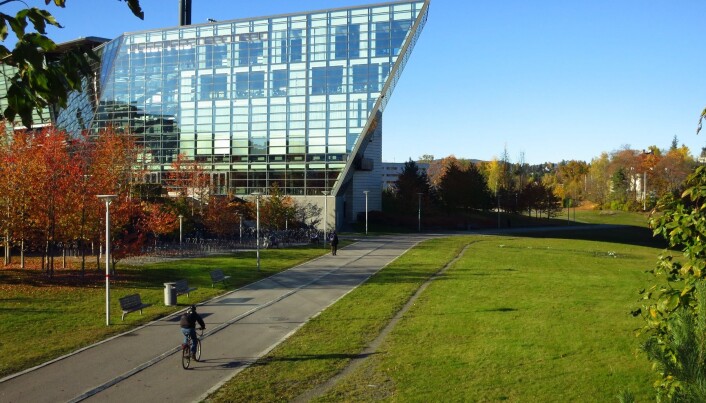 Runden har noen av Oslo-områdets flotteste sykkelveier, her fra strekket litt nord for Rolfsbukta. Runden har noen av Oslo-områdets flotteste sykkelveier, her fra strekket litt nord for Rolfsbukta.
